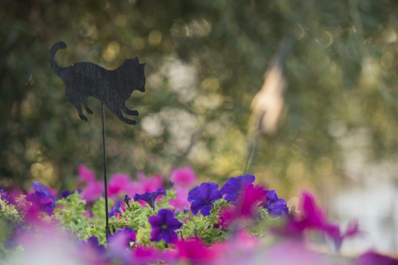 Villa Mariza Corfu Kamara  エクステリア 写真